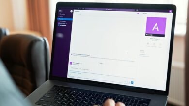 brian chavez profile summary