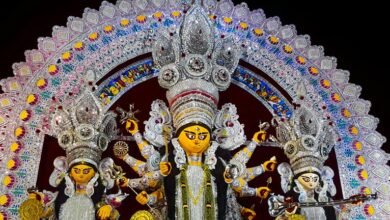 goddess lakshmi s recent updates